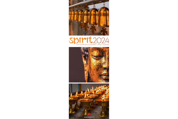 ACKERMANN Spirit Triplet Kalender 2024 2464 DE Multicolor, 24x66cm