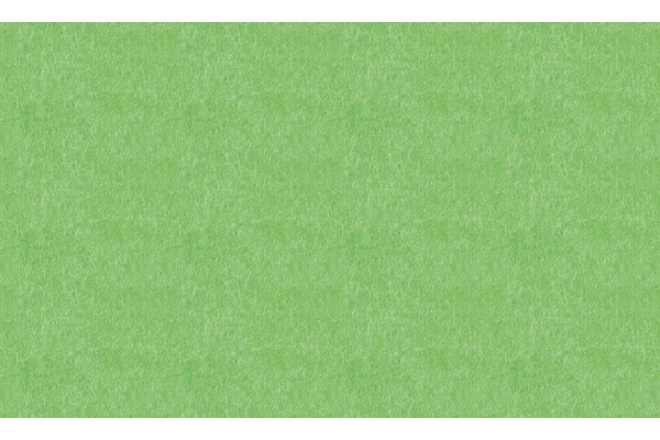 MAGNETOP. Infinity Wall X Acoustics 1010215 apfelgrün 490x1980mm