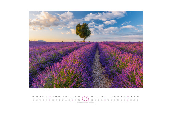 ACKERMANN Bildkalender 2027 2734 Wege ML 54x48cm