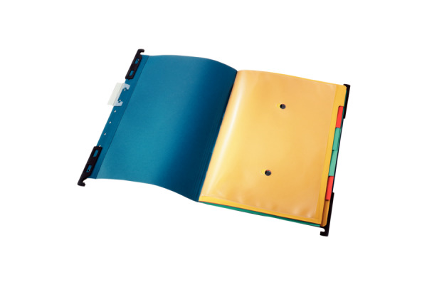 LEITZ Register-Hängemappe Divide A4 18900035 blau 32.2x24.6cm 6 Fächer
