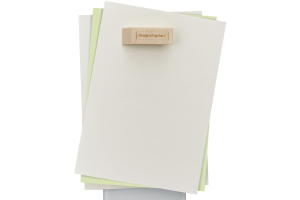 MAGNETOP. Design Magnet 4 Stück 1665249 Wood Series, Birke 60x20x13mm