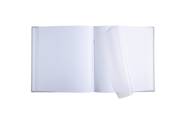 EXACOMPTA Fotoalbum Ellipse 29x32cm 16263E grün 60 Seiten