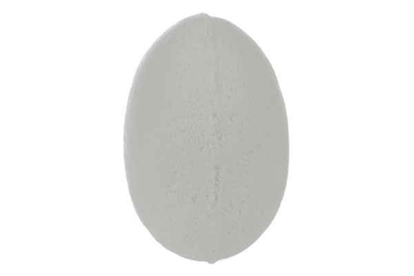 ROOST Badefizzer TY749 Meerestier