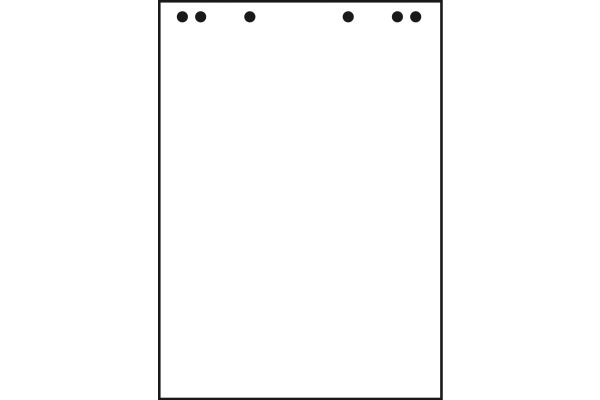 LANDRE Flipchart-Block 68x99cm 10050588 80g,blanko recycl. 5x20 Blatt