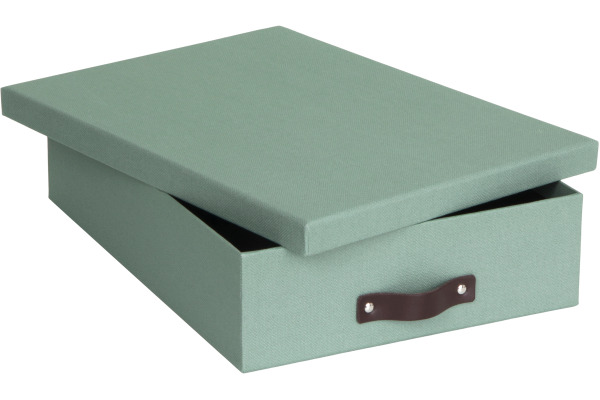 BIGSO BOX Aufbewahrungsbox Oskar 9451C1649 mintgrün A4