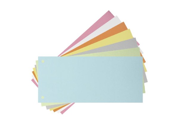 BIELLA Trennstreifen Karton 2 Loch 19919005U blau, 24x10.5cm 100 Stk.