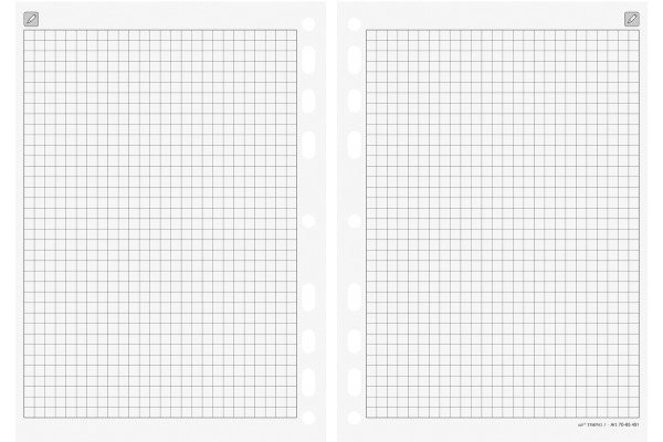RIDOIDE Timing 1 Notizen kariert 7065451 32 Blatt 14.8x21cm