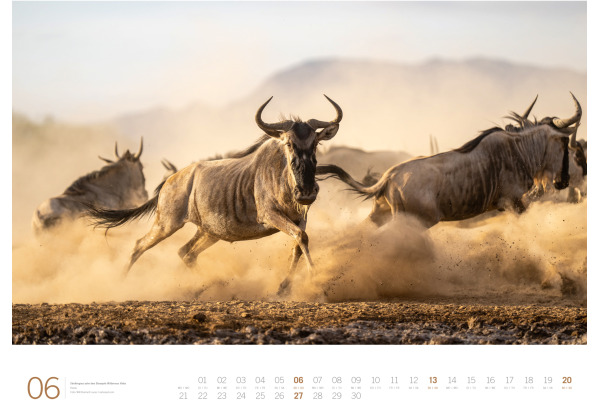 ACKERMANN Bildkalender 2027 3713 Afrika DE/E 66x50cm