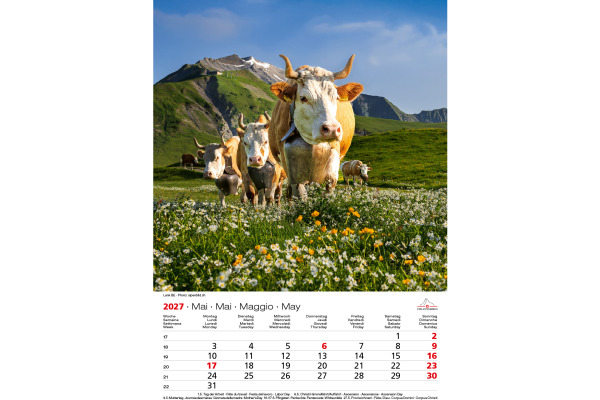 CALENDARI Bildkalender 2027 36206127 Swiss Souvenir ML 23x31.5cm