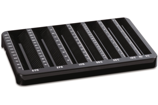 RIEFFEL Geldkassetten Einsatz A12702 für CHF 276x179x70mm