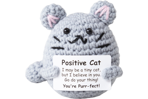 I AM CREA Positive Cat 8.5cm 1000-1857 grau