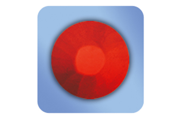 PELIKAN Wachsmaler Griffix 723155 10 Stück