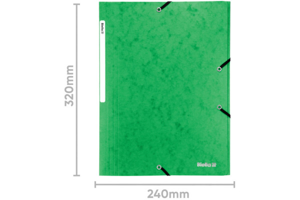 BIELLA Gummibandmappe A4 17840130U grün, 355gm2 200 Bl.