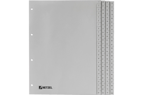 HETZEL Register PP grau A4 721311 1-100