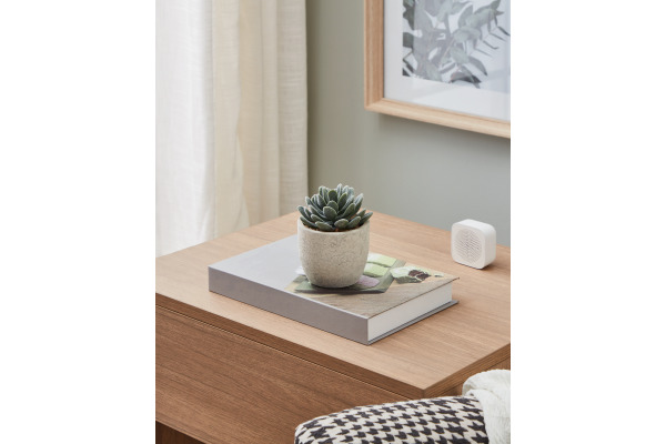 EGLO Kunstpflanze 11cm 428011 grün, im Topf