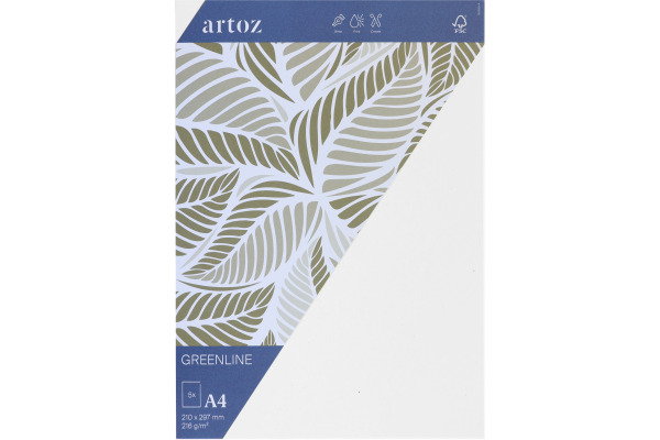 ARTOZ Karten 1001 A4 269614211 216g, birch 5 Blatt