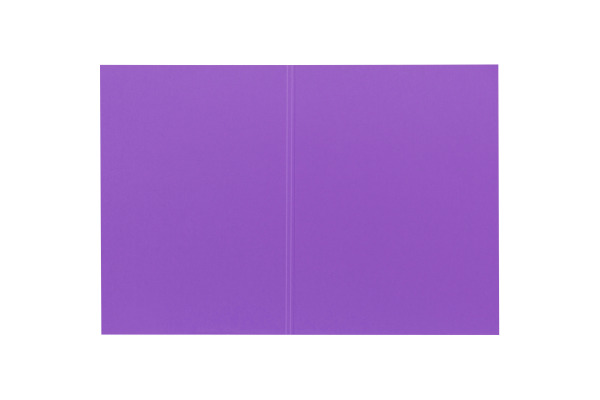 BIELLA Vertikalmappe Recycolor 25342741U 32x23,3/24,3cm, lila 100 St.