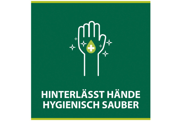 PALMOLIVE Küchen-Handseife 300ml IT05463A