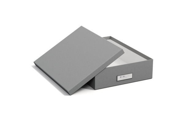 BIGSO BOX Aufbewahrungsbox Oskar 945154141 grau 26x35x8.5cm