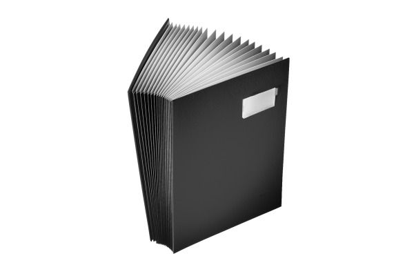 LEITZ Unterschriftsmappen A4 57000095 schwarz 20 Fächer