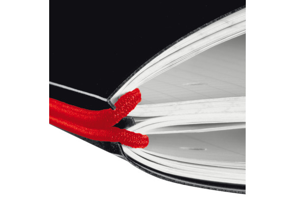 HERLITZ Notizheft My.Book A4 11361508 kariert, liniert