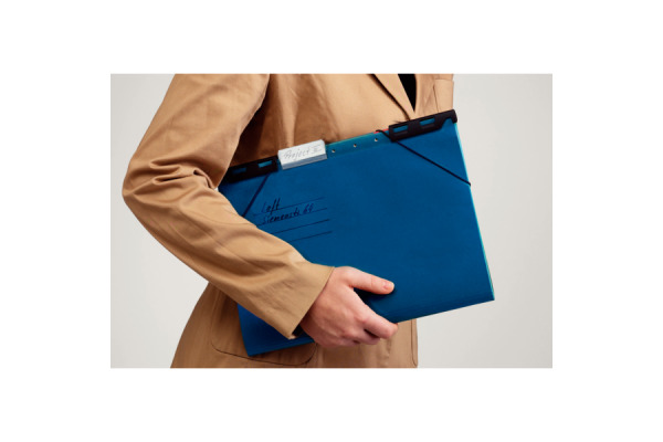LEITZ Register-Hängemappe Divide A4 18900035 blau 32.2x24.6cm 6 Fächer