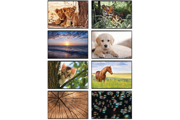 KOLMA Schreibunterlage 35.550.20 Löwe 50x34cm