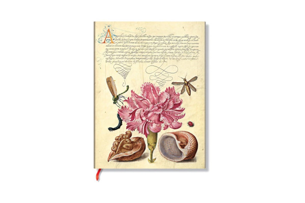 PAPERBLAN Notizbuch Rosa Nelke Ultra FB9725-9 liniert 176 Seiten