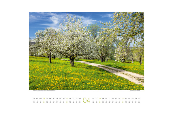 ACKERMANN Bildkalender 2027 2734 Wege ML 54x48cm