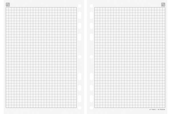 RIDOIDE Timing 2 Notizen kariert 7066451 32 Blatt 9.3x17.2cm