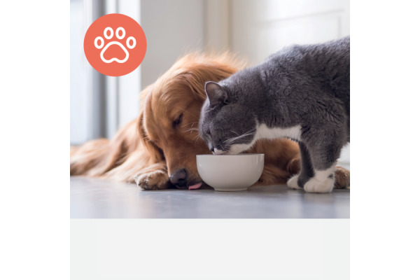 LEITZ Aktivkohlefilter TruSens 2415132 Tier, HEPA