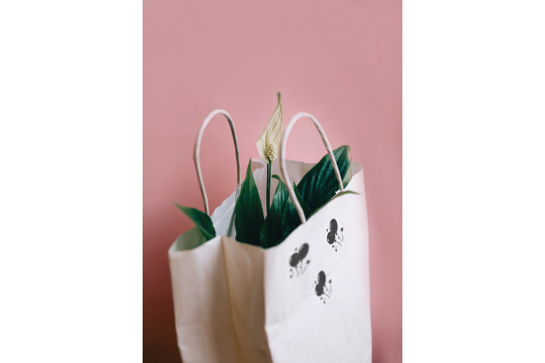 COLOP Textstempel 154849 Little NIO Handmade DE