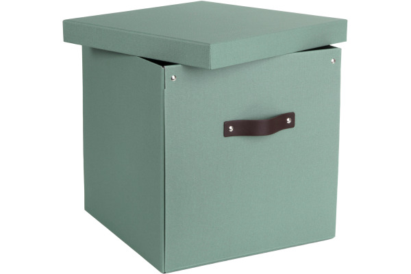 BIGSO BOX Aufbewahrungsbox Logan 9901C1649 mintgrün 31.5x31x31.5cm