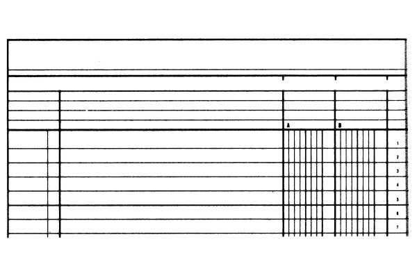 SIMPLEX Statistikbuch A4 19082 2 Kolonnen, grün 40 Blatt