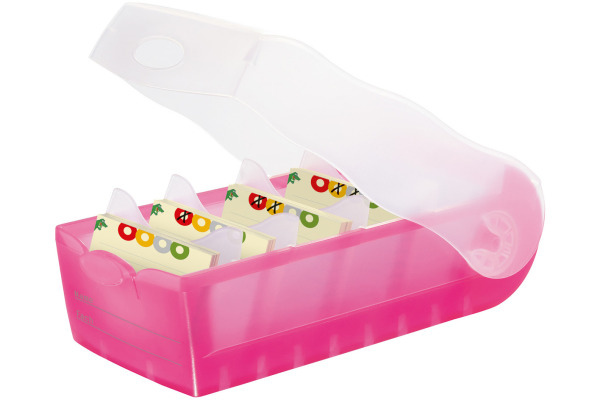 HAN Karteibox Croco A8 998-663 pink 9.7x6.7x19.1cm