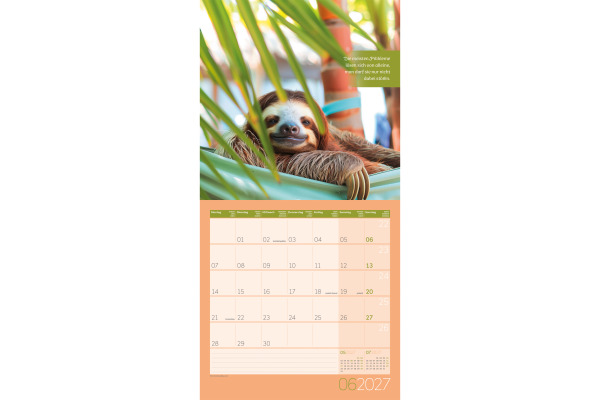 ACKERMANN Bildkalender 2027 4733 Alles wird gut ML 30x30cm