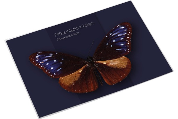 MAGNETOP. Sichttasche magnetofix A4 1130530 transparent, querformat, 1mm