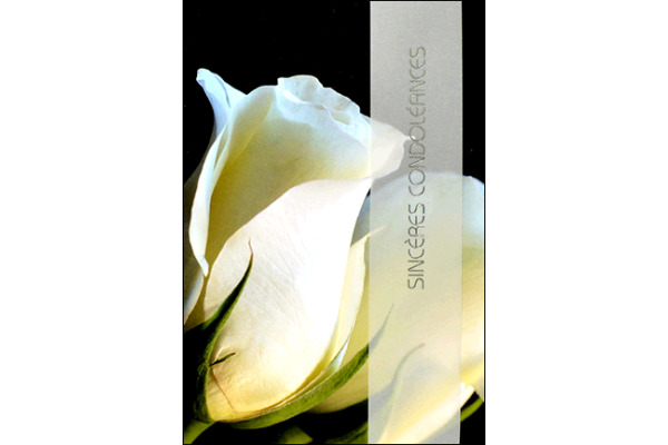 ABC Trauerkarte Französisch 43873 Weiße Rose farbig