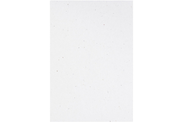 ARTOZ Karten 1001 A4 269614211 216g, birch 5 Blatt