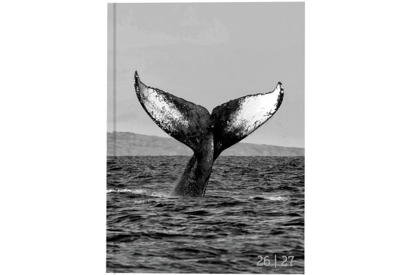BIELLA Schüleragenda Whale 26/27 44860027U 1T/1S 12x16.5cm
