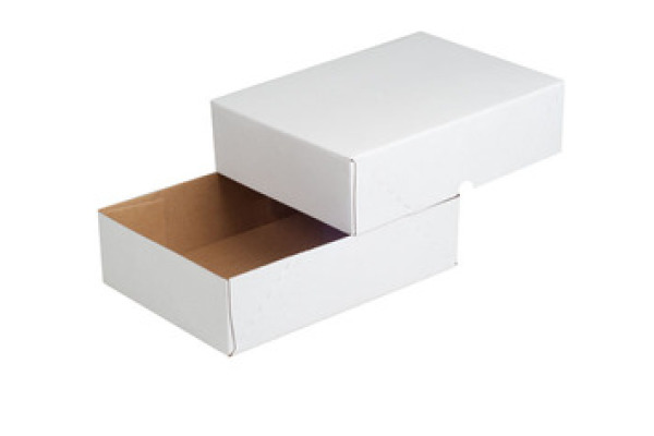 ELCO Paperbox Pac-it 300x220x45mm 74565.12 weiss 5 Stück