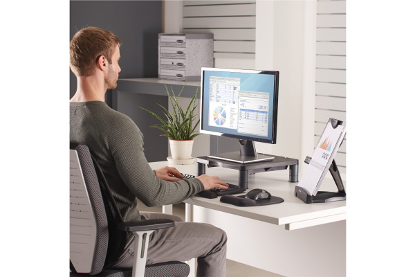 FELLOWES Monitor Ständer Standard 9169301