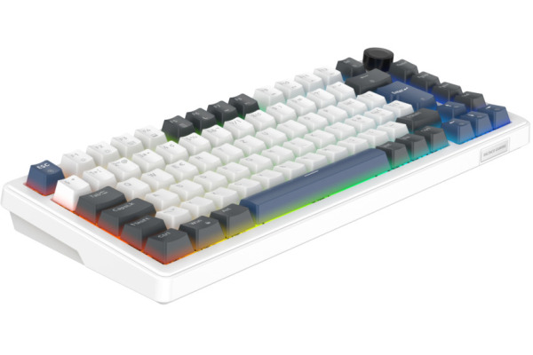 DELTACO Mech. Keyboard Gasket DK480 GAM-205-W PBT keycaps,Hot-swap,WH. CH